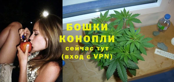 Альфа ПВП Корсаков
