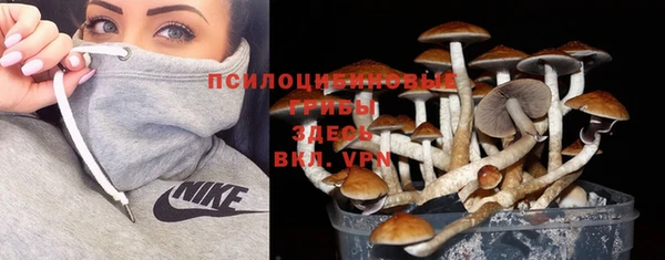 Альфа ПВП Корсаков