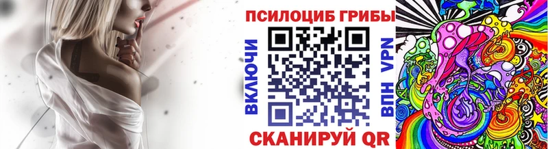 Псилоцибиновые грибы мицелий  Купить закладки  Куртамыш 